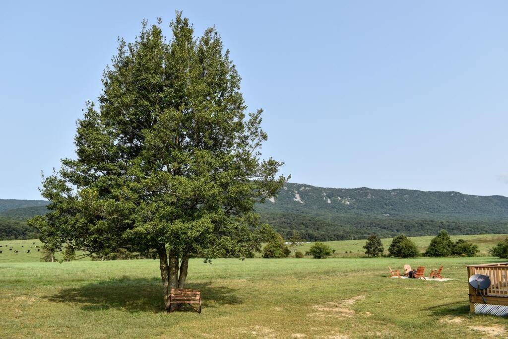 Villa Holly Tree Retreat Located In Beautiful Luray, Va. Exterior foto