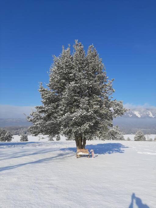Villa Holly Tree Retreat Located In Beautiful Luray, Va. Exterior foto