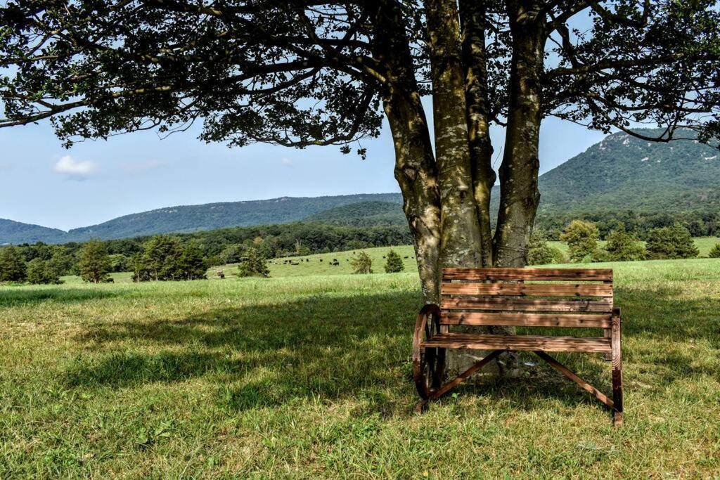 Villa Holly Tree Retreat Located In Beautiful Luray, Va. Exterior foto