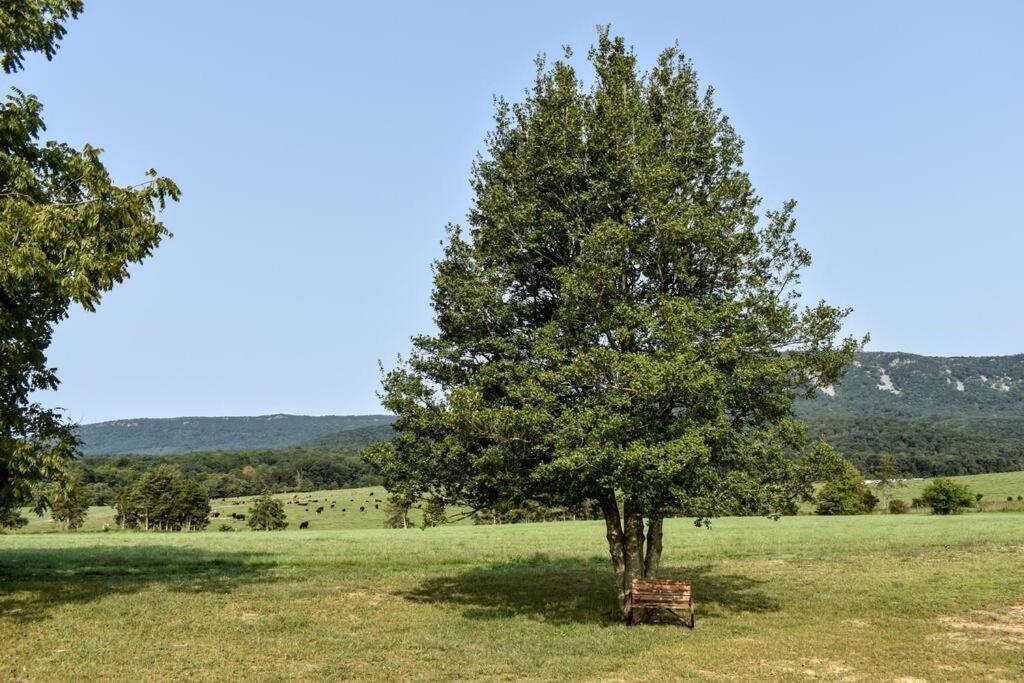 Villa Holly Tree Retreat Located In Beautiful Luray, Va. Exterior foto